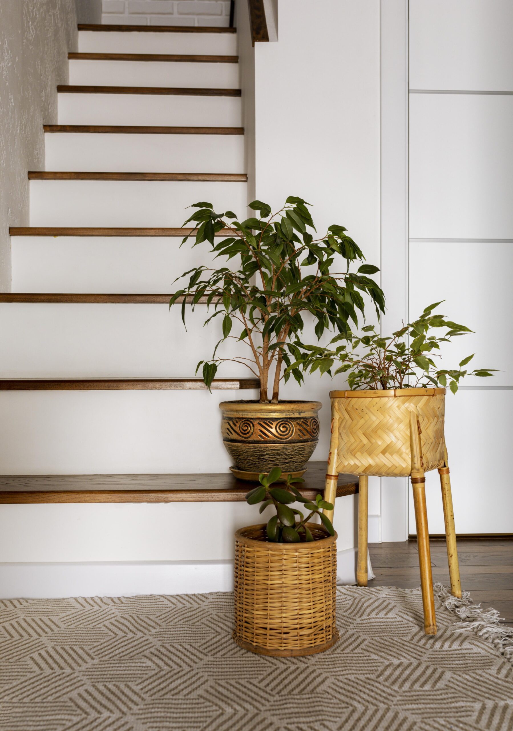 design-d-interieur-avec-des-escaliers-et-des-plantes